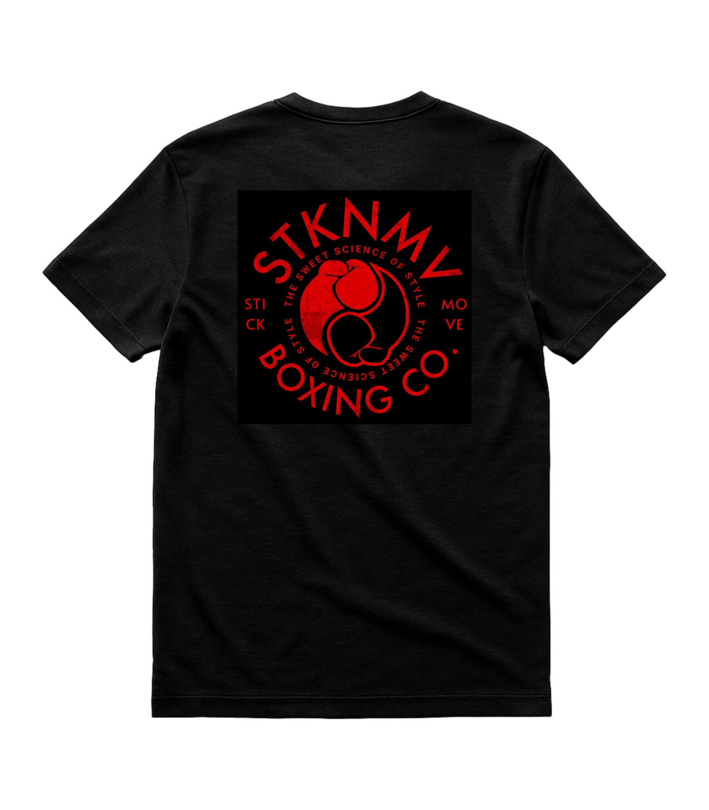 CASTILLO VS CORRALES