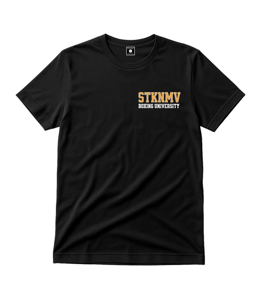 STKNMV UNIVERSITY